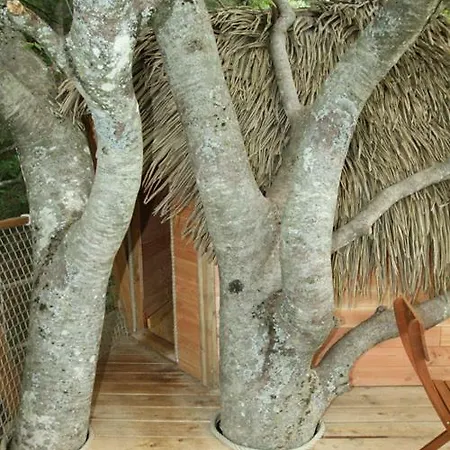 Les Cabanes Dans Les Arbres De Caluche * Saint-Simon