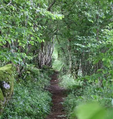 Les Cabanes Dans Les Arbres De Caluche *