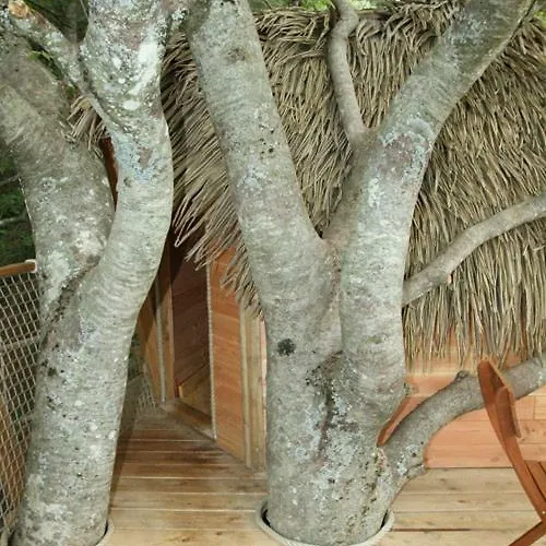 Les Cabanes Dans Les Arbres De Caluche * Saint-Simon (Cantal)