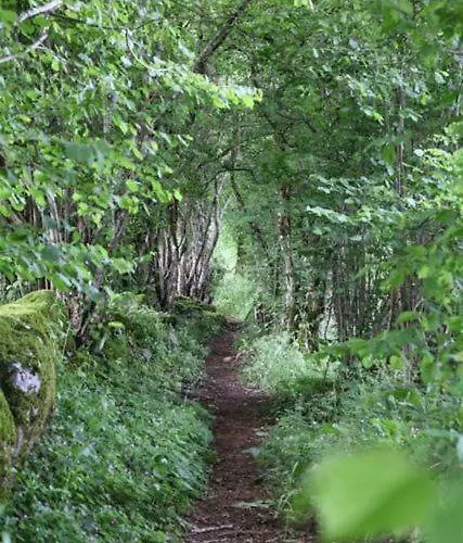 Les Cabanes Dans Les Arbres De Caluche *